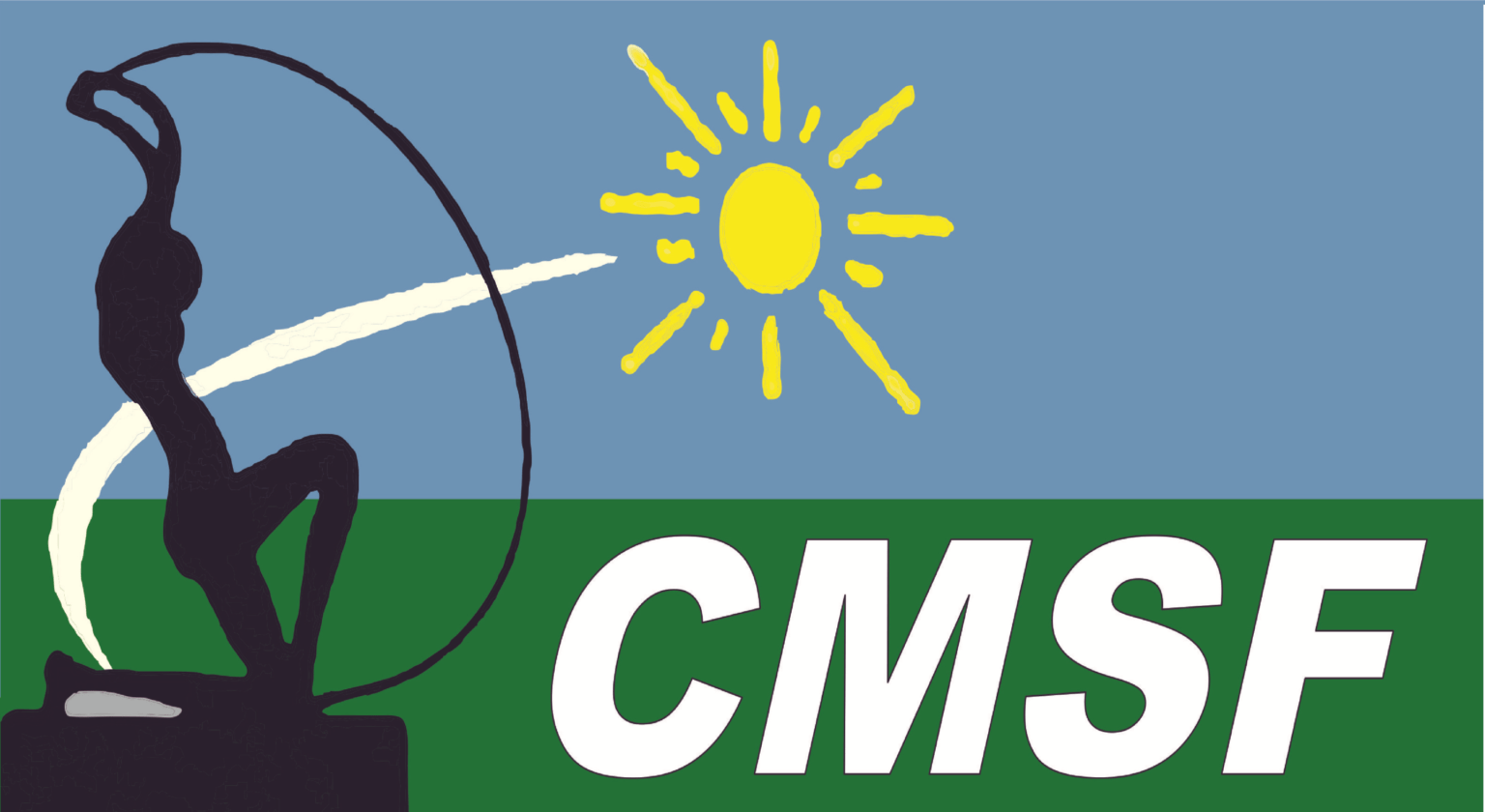 Conselho Municipal de Saúde de Fortaleza